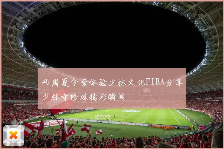 两周夏令营体验少林文化FIBA分享少林寺修炼精彩瞬间