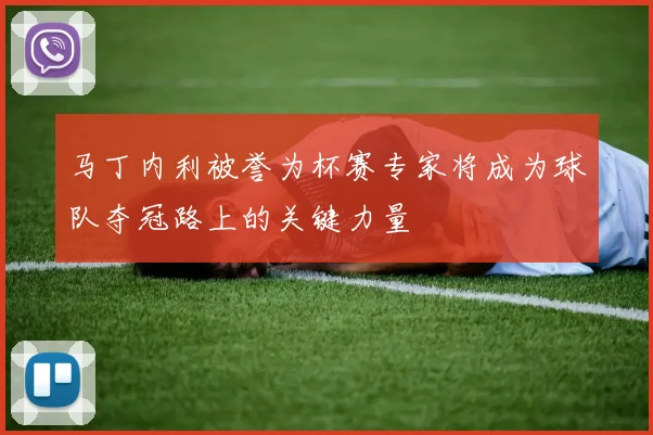 马丁内利被誉为杯赛专家将成为球队夺冠路上的关键力量